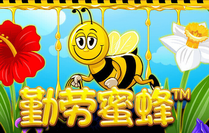 ky体育app